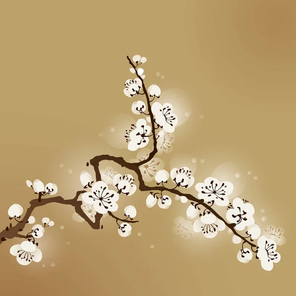 Branche de prunier en fleurs — Image vectorielle