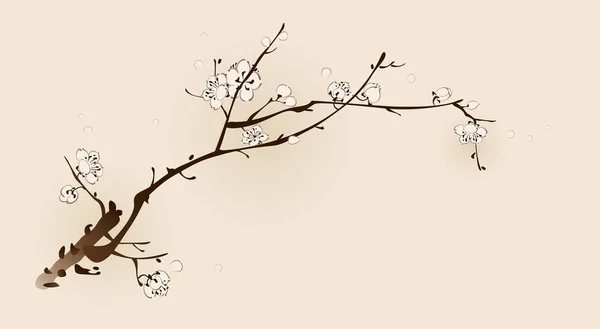 Bloeiende plum branch — Stockvector