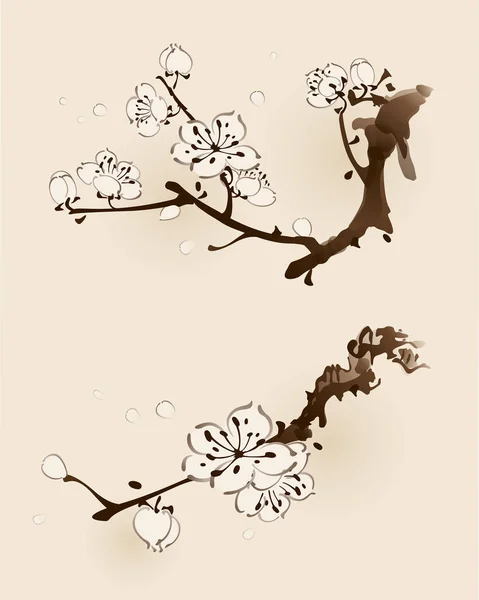 Branche de prunier en fleurs — Image vectorielle