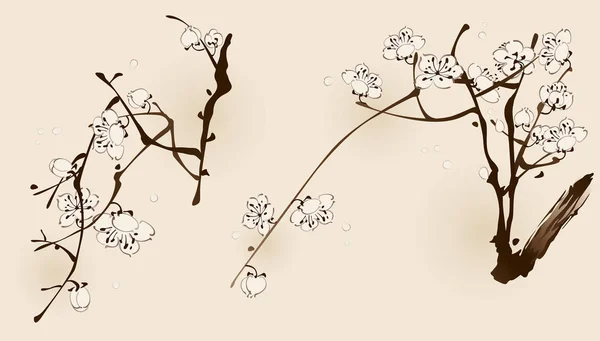 朵朵梅花分支 — 图库矢量图片