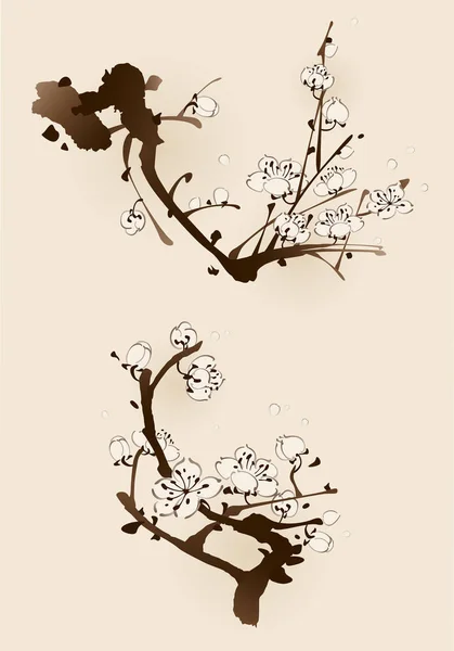 Branche de prunier en fleurs — Image vectorielle