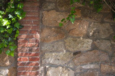 Yeşil sarmaşık stonewall