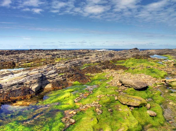 Paisaje escocés áspero —  Fotos de Stock