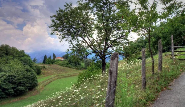 Lato w Toskanii, Włochy — Zdjęcie stockowe