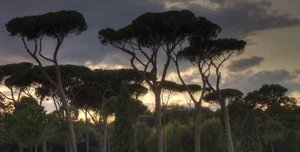 İtalya'nın popüler Roma landmark — Stok fotoğraf