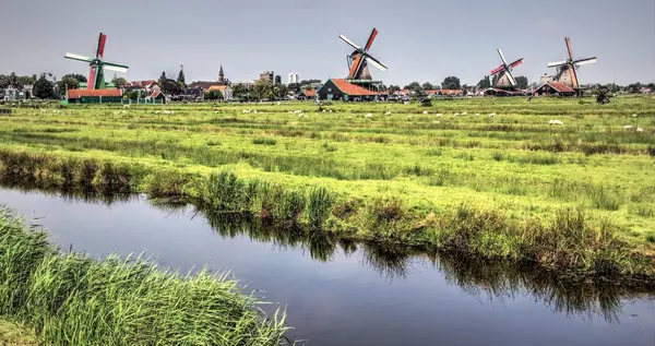 Auténtico paisaje holandés —  Fotos de Stock