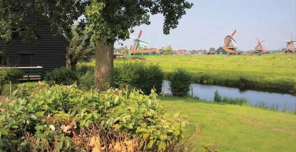 Authentiek Hollands landschap — Stockfoto