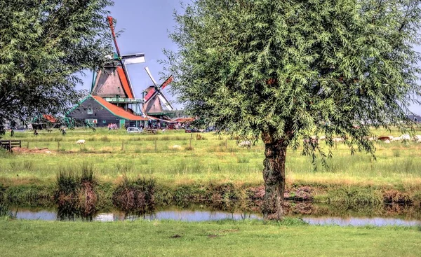 Auténtico paisaje holandés —  Fotos de Stock