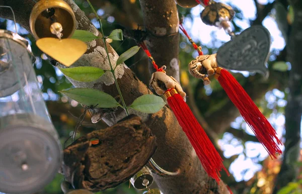 Landelijke levensstijl in Thailand — Stockfoto