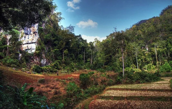 Estilo de vida rural tailandés — Foto de Stock