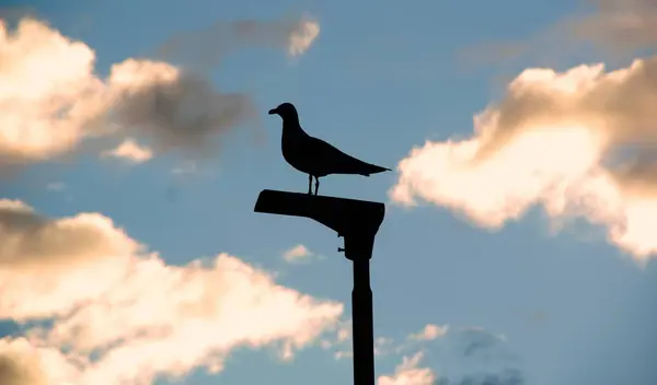 Verschillende kleuren van een Noorse landschap — Stockfoto