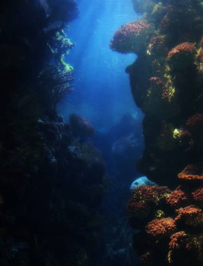 Açık bir günde günlük kırsal yaşam