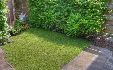 Yaz aylarında açık bir günde günlük kırsal yaşam