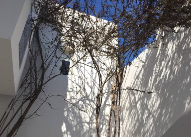 Mükemmel bir günde, her gün