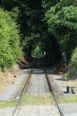 Mükemmel bir günde, her gün