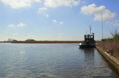 Mükemmel bir günde, her gün