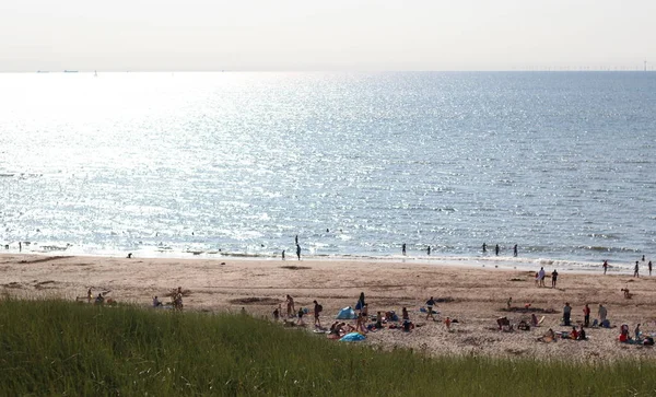 Dagelijks leven op een perfecte dag — Stockfoto