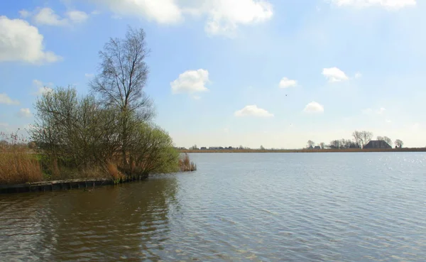 Een wandeling in het Amsterdamse Bos — Stockfoto