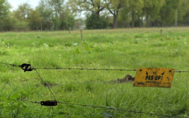 Bir bahar gününde tipik Hollandalı doğası