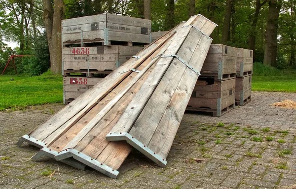 Typische Hollandse natuur op een lentedag — Stockfoto