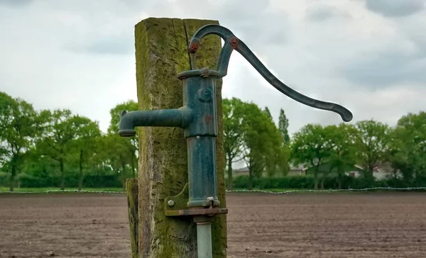 Typisch holländische Natur an einem Frühlingstag — Stockfoto