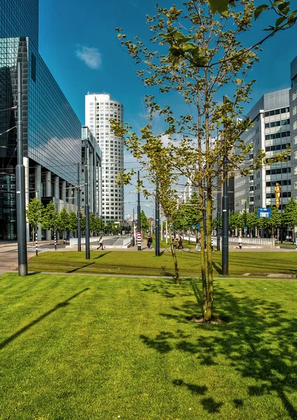 Hollanda 'da Hollandalı yaz