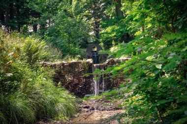 Hollanda 'da Hollandalı yaz
