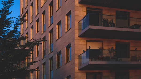 Tramonto su Amsterdam, Paesi Bassi — Foto Stock