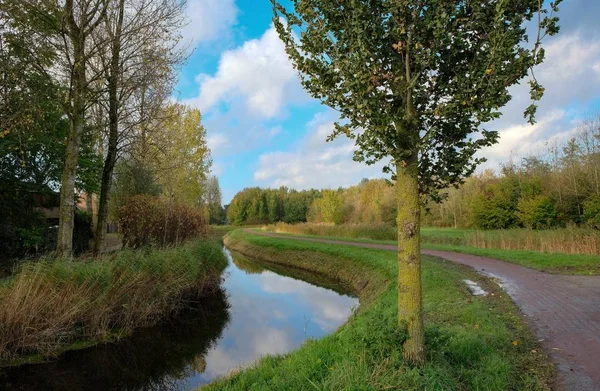 夏季にはオランダの風景 — ストック写真