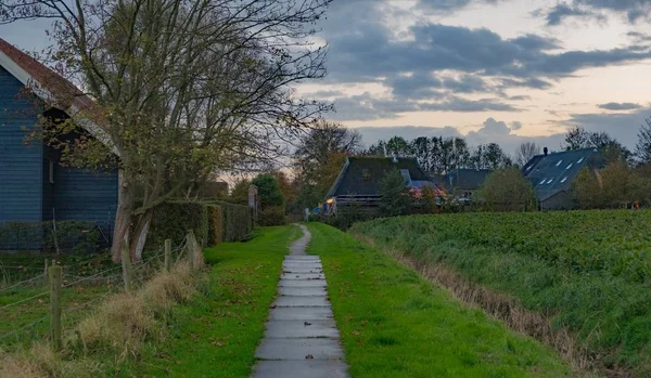 Paysage néerlandais en été — Photo