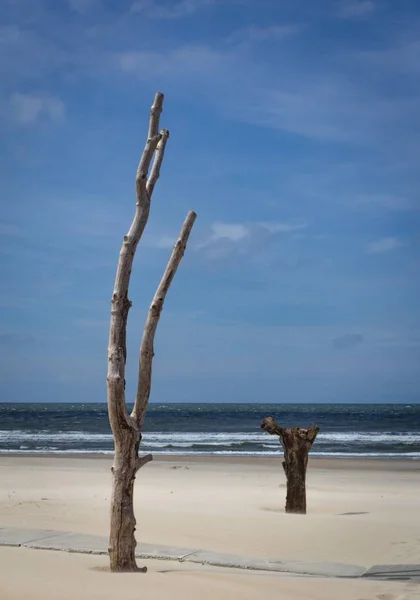 Nederlandse strand op een heldere dag met enkele wolken — Stockfoto