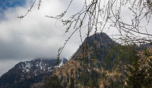 Alpes autrichiennes au printemps — Photo