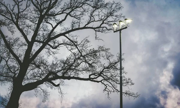 Poste da lâmpada contra céu holandês nublado — Fotografia de Stock