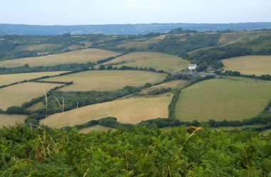İngiliz Manş Denizi ve İngiliz kırsalının olduğu bir tepede yeşil tarlalar. Dorset, Uk 'taki Jurassic Sahili' nde Altın Şapka.