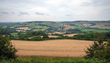 İngiliz Manş Denizi ve İngiliz kırsalının olduğu bir tepede yeşil tarlalar. Dorset, Uk 'taki Jurassic Sahili' nde Altın Şapka.