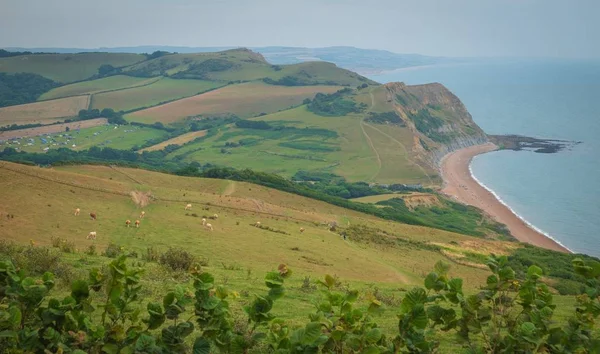 Campi verdi su una collina con il mare Manica e la campagna inglese sullo sfondo. Golden Cap sulla costa giurassica nel Dorset, Regno Unito . — Foto Stock