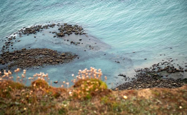 초록색 들판에 배경에는 있습니다 Golden Cap Jurassic Coast Dorset 선택적 — 스톡 사진