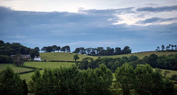 Green fields on a hill with the sea English Channel and English countryside in the background. Golden Cap on jurassic coast in Dorset, UK. Photo with selective focus. Bright summer holidays photo.