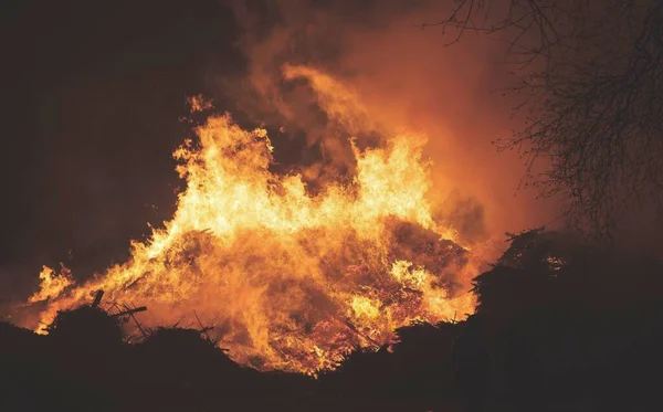 Intense flames from a massive forest fire. Flames light up the night — Stock Photo, Image