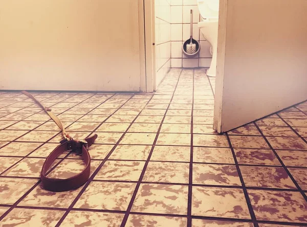 Correa para perros en el suelo debajo de la puerta del inodoro imagen surrealista — Foto de Stock