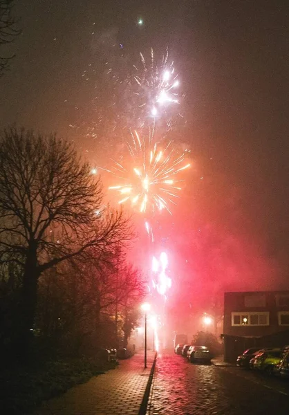Vuurwerk Bokeh Oudejaarsavond Bomen Explosie Amsterdam — Stockfoto