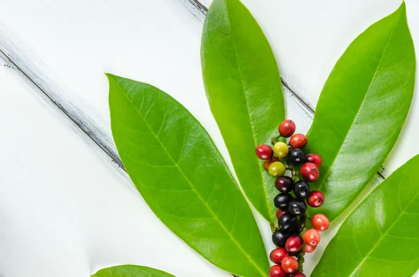 Thai Blueberry fruit — Stock Photo, Image