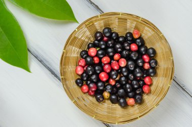 Tay yaban mersini meyve