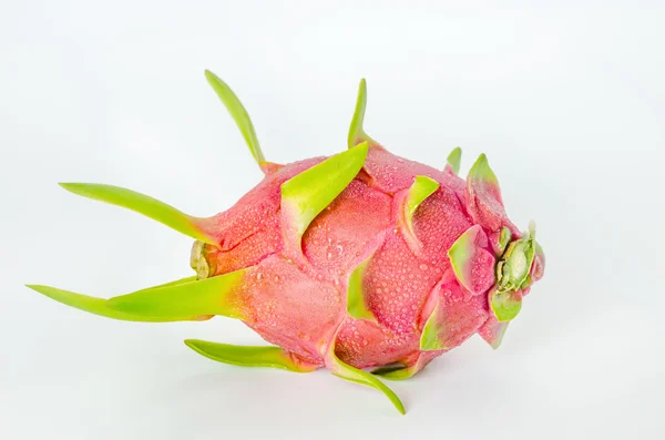 Verse roze pitaya — Stockfoto