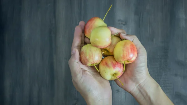 มือมนุษย์ถือแอปเปิ้ล — ภาพถ่ายสต็อก