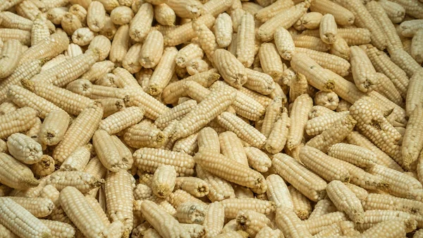 Corn on background — Stock Photo, Image