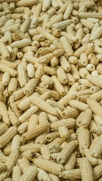 Corn on background — Stock Photo, Image