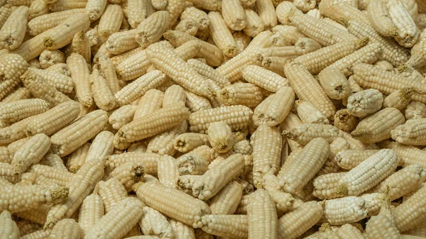 Corn on background — Stock Photo, Image