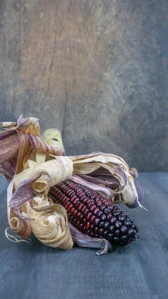 Purple corn cob — Stock Photo, Image