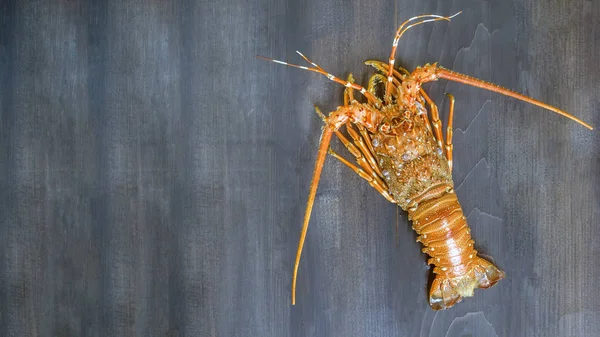 Steamed lobster seafood — Stock Photo, Image